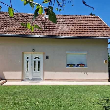 Kuca Za Odmor Dm Villa Bajina Basta Ngoại thất bức ảnh