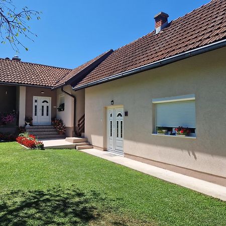 Kuca Za Odmor Dm Villa Bajina Basta Ngoại thất bức ảnh